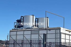 南非海鮮水產(chǎn)保鮮，2臺(tái)日產(chǎn)30噸片冰機(jī)